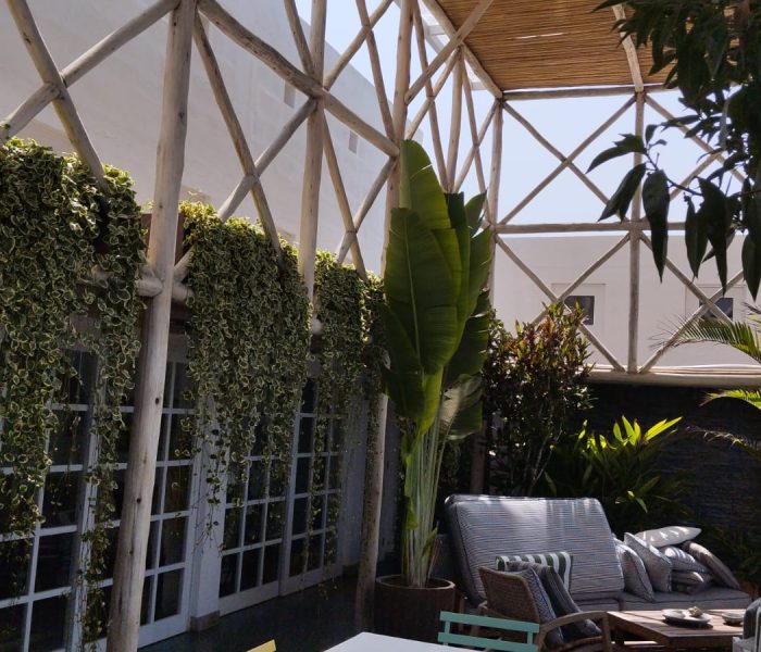 PHOTO-2025-01-15-19-48-07(3)