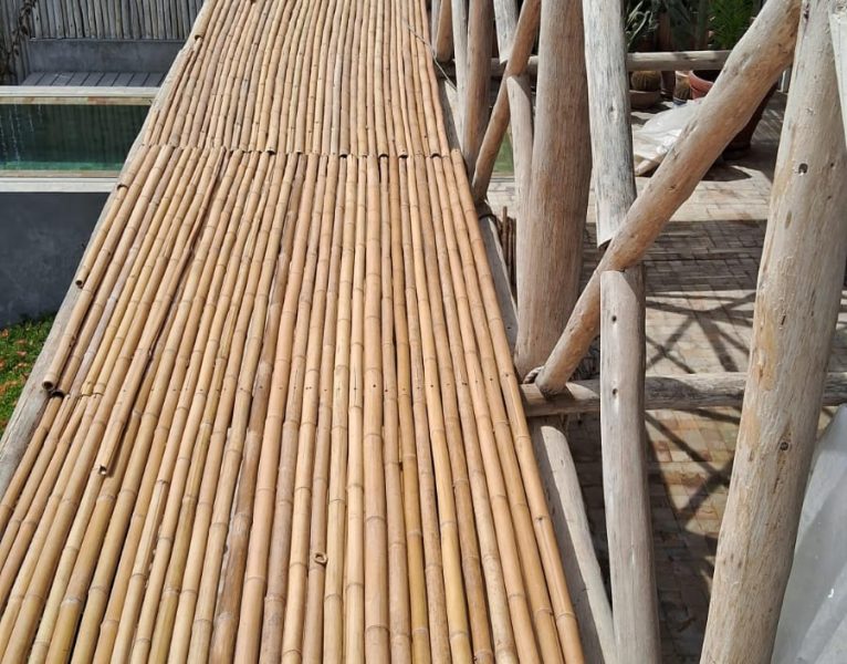 PHOTO-2025-01-15-20-23-28