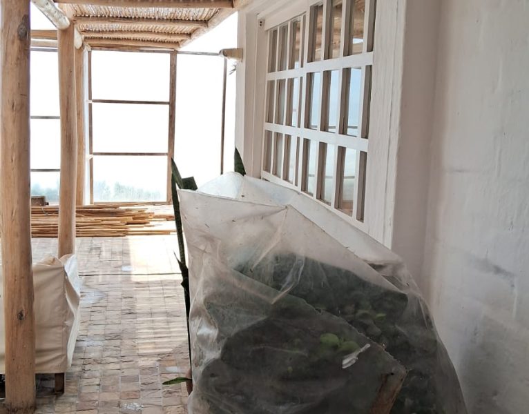 PHOTO-2025-01-15-20-23-29(4)