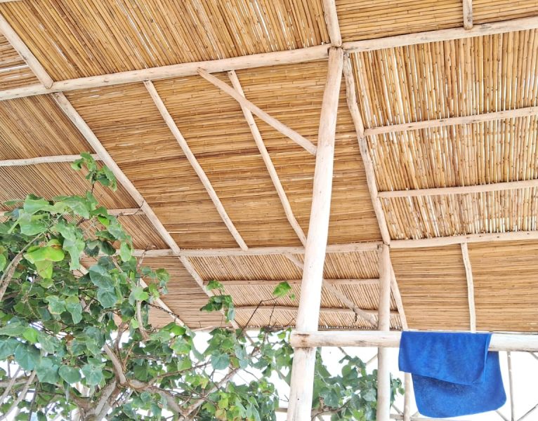 PHOTO-2025-01-15-20-23-30