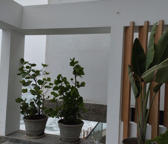 PHOTO-2025-01-15-20-23-32(4)