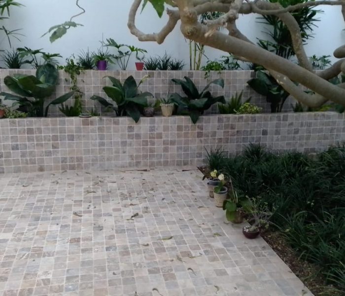 e6c3e47d-d087-4f55-8467-b5a0461d407d